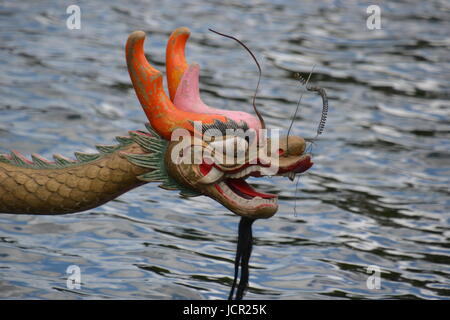 Marlow Drachenboot-Rennen auf der Themse, Marlow, Buckinghamshire, England, Großbritannien Stockfoto