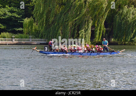 Team in Sombreros bei Marlow Drachenbootrennen auf der Themse, Marlow, Buckinghamshire, England, Großbritannien Stockfoto