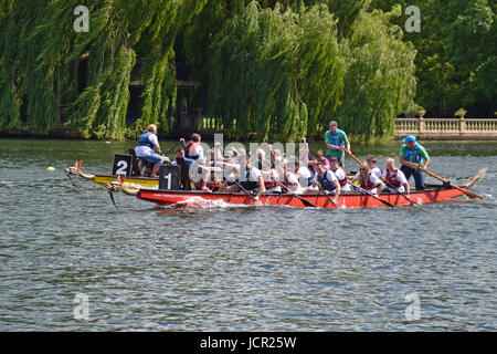 Marlow-Drachenbootrennen auf der Themse, Marlow, Buckinghamshire, Großbritannien Stockfoto