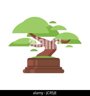 Vektor-flacher Stil Illustration Bonsai-Baum. Symbol für das Web. Isoliert auf weißem Hintergrund. Stock Vektor