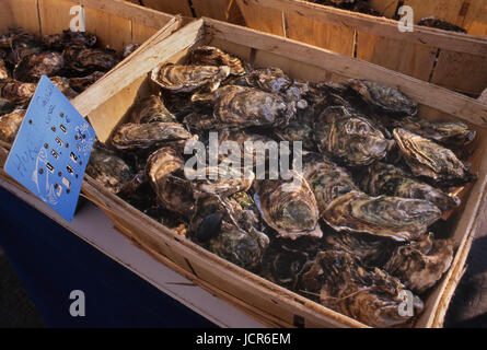 FRANZÖSISCHE AUSTERN FRISCHE MEERESFRÜCHTE RUSTIKALE KÖRBE KISTEN STAND frische mediterrane Austern zum Verkauf, in rustikalen Holzkisten mit Euro-Preisschild, in der Küste Südfrankreichs Markt, Sanary-sur-Mer, Côte d'Azur Var, Frankreich. Stockfoto