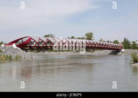 Die Peace Bridge in Calgary, Kanada. Die Brücke, entworfen vom Architekten Santiago Calatrava, überquert den Bow River. Stockfoto