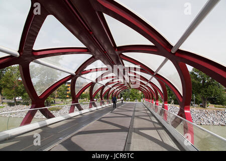 Die Peace Bridge in Calgary, Kanada. Die Brücke, entworfen vom Architekten Santiago Calatrava, überquert den Bow River. Stockfoto