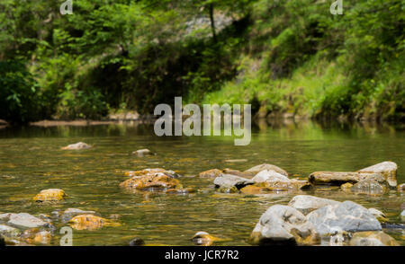 Steinen im Fluss Raab in Österreich Stockfoto