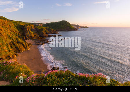 Hele Bay und Ilfracombe an der Nordküste Devon Erbe betrachtet von Rillage Punkt, England. Stockfoto