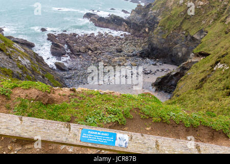 Zeichen auf die hölzerne Geländer oberhalb der Mutton Cove graue Dichtung Kolonie in der Nähe von Godrevy Point auf der nördlichen Küste von Cornwall, England, UK Stockfoto