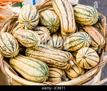 Korb-Herbst-Ernte-Delicata squash auf dem Bauernmarkt Stockfoto