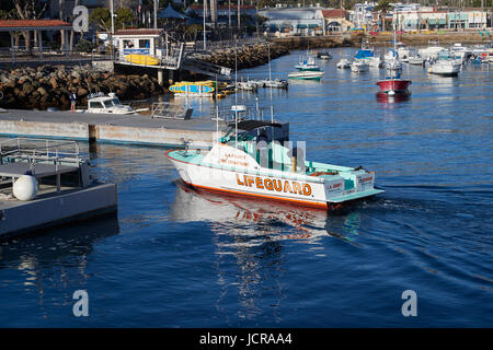 Los Angeles County Fire Department Rettungsschwimmer starten Ansätze das Dock in Avalon, Catalina Island, Kalifornien. Stockfoto