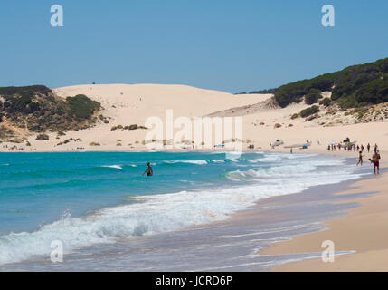 Bolonia, Costa De La Luz, Provinz Cadiz, Andalusien, Südspanien.  Bolonia Beach.  Playa de Bolonia.  Im Hintergrund ist die Bolonia Sanddüne, o Stockfoto