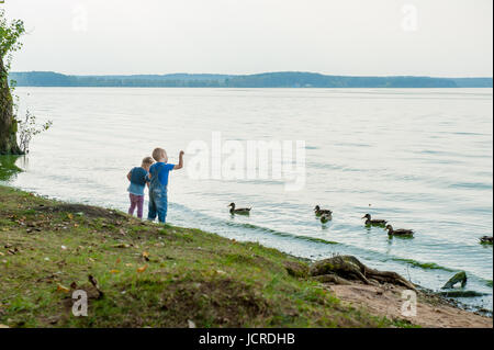 Zwei bezaubernde Schwestern füttern Enten an einem Fluss im Sommer Stockfoto