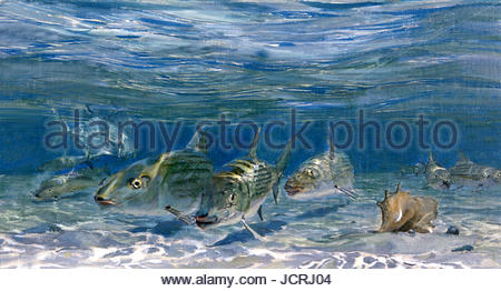 Bonefish Schulbildung mit erlauben Fisch auf den Flats. Stockfoto