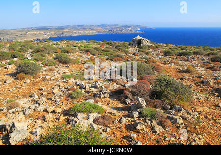 Küstenlandschaft Vegetation, blaues Meer, Blick nach Süden vom Res il-Qammieh, Marfa Halbinsel, Republik Malta Stockfoto