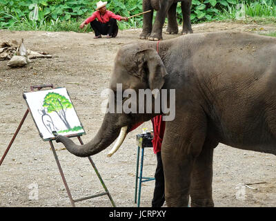 Elefanten Malen während Elefanten Show in Chiang Mai. Bild in Thailand, August 2016. Stockfoto