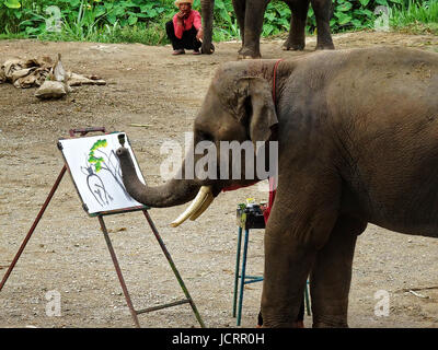 Elefanten Malen während Elefanten Show in Chiang Mai. Bild in Thailand, August 2016. Stockfoto