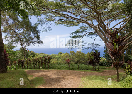 Panoramablick vom Garten auf der Straße nach Hana. Stockfoto