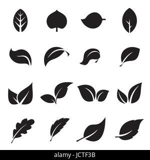 Sammlung von Icons Blatt. Schwarze Symbole auf einem weißen Hintergrund isoliert. Vektor-illustration Stock Vektor