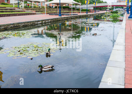Friedrich, USA - 24. Mai 2017: Carroll Creek in Maryland Stadtpark mit Kanal, Reflexion und Enten Stockfoto