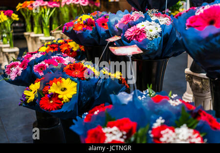 Daisy Blumensträuße in Blau Geschenkpapier Sackler-Blumenladen Stockfoto