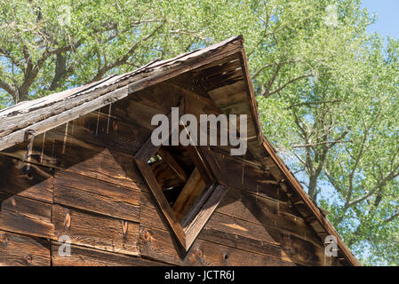 Scheune in Buckland Station, Teil des Fort Churchill State Historic Park, entlang des Flusses Carson in Lyon County, Nevada. Stockfoto