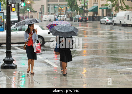 Frauen gehen mit Regenschirmen während einem Regentag (Frau mit Regenschirm) - Washington, DC USA Stockfoto