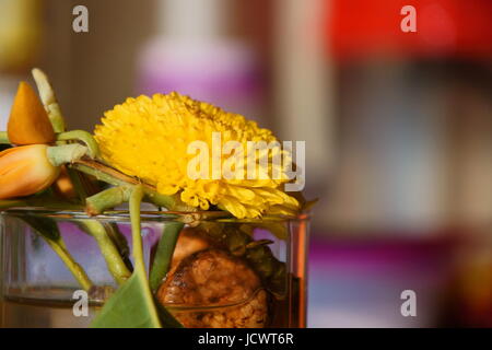 Gelbe Ringelblume Stockfoto