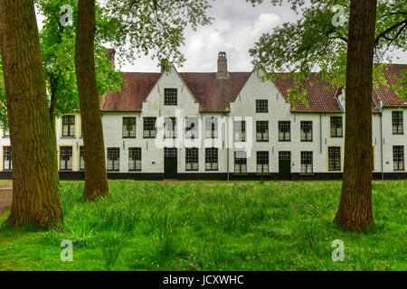 Mittelalterliche weißen Häusern in der fürstliche Beginenhof (Begijnhof) zehn Wijngaerde in Brügge (Brugge), Belgien. Stockfoto