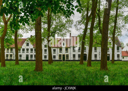 Mittelalterliche weißen Häusern in der fürstliche Beginenhof (Begijnhof) zehn Wijngaerde in Brügge (Brugge), Belgien. Stockfoto