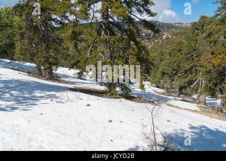 In der Nähe von Square, Schnee, Distrikt Limassol, Paphos, Zypern Troodos Stockfoto