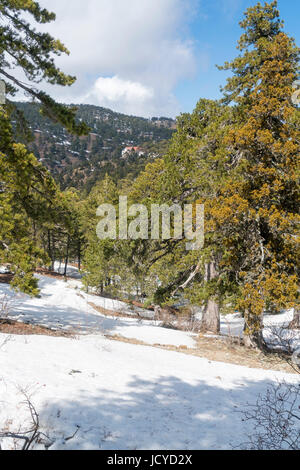 In der Nähe von Square, Schnee, Distrikt Limassol, Paphos, Zypern Troodos Stockfoto