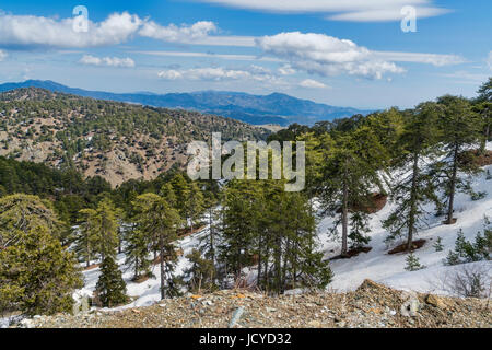 Troodos-Schnee in den Bergen, Distrikt Limassol, Paphos, Zypern Stockfoto