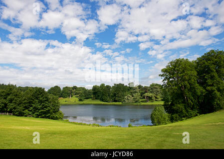 Parklandschaft in Blenheim Palace, Woodstock, Oxfordshire, England UK Stockfoto