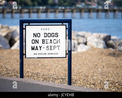 Zeichen diktiert keine Hunde am Strand von Mai bis September in Felixstowe, ein kleiner Badeort in Suffolk, UK Stockfoto