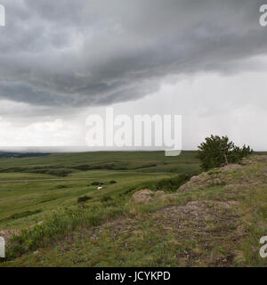 Tipi am Head-Smashed-In Buffalo Jump in Alberta, Kanada, The First Nations Jagdrevier diente seit 6.000 Jahren und ist heute die UNESCO eine Stockfoto