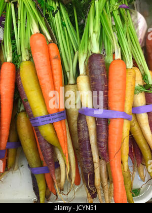 Reihe von bunten Bio-Karotten mit grünen Blättern Stockfoto