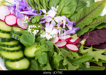 Salat mit verschiedenen Blättern, Gemüse und Blumen Stockfoto