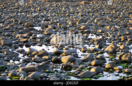 Beach Pebbles/Felsen im Wasser Hintergrund Stockfoto