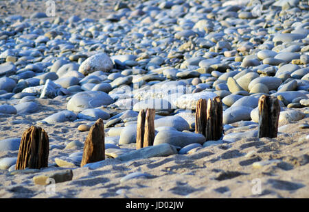 hölzerne Buhne Westward ho! Strand-uk Stockfoto