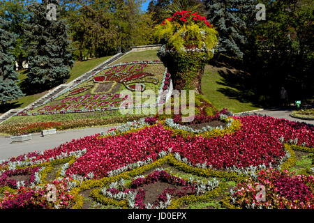 Schöne Blumenbeet in Pjatigorsk. Stockfoto