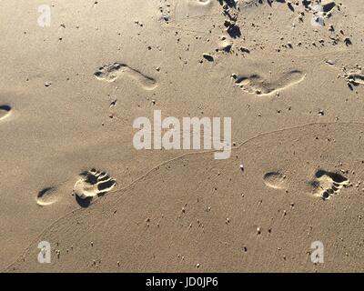 Frische gelbe Meeressand nach der Welle an der Küste. Stockfoto