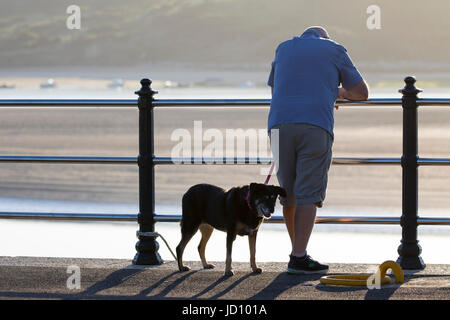 Ein Mann mit einem Hund an der Leine mit Blick auf die Hafenmauer und Geländer in der malerischen Stadt von Padstow, Cornwall, England, UK Stockfoto