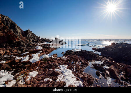 Schroffe Küstenlandschaft von Crow Kopf, Twillingate, Neufundland, Kanada Stockfoto