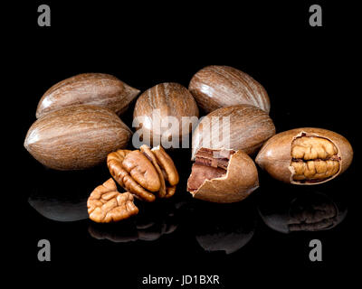 Pekannüsse. Gesundes Essen hohen n-Vitamine, Mineralstoffe. Sagte, dass Cholesterin im Blut zu verringern Stockfoto