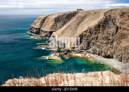 Schroffe Küstenlandschaft am Cape St. Mary Ecological Reserve, Cape St. Mary, Avalon Halbinsel, Neufundland, Kanada Stockfoto