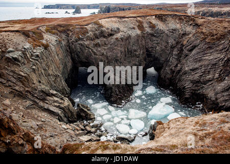 Meeresgrotten Dungeon Provincial Park-Landschaft, Bonavista, Neufundland, Kanada Stockfoto