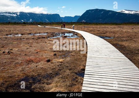 Trail, Western Brook Pond, Gros Morne National Park, Neufundland, Kanada Stockfoto