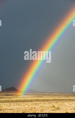 Regenbogen über der Wüste in der Nähe von Janz, Nevada. Stockfoto