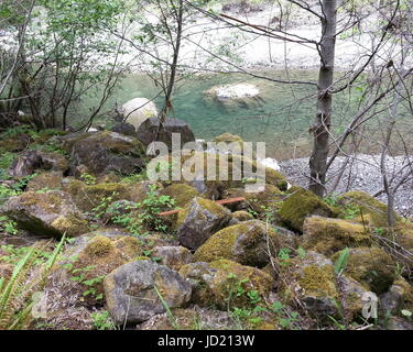 Frühling-Stream Stockfoto