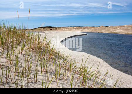 Trail zu Dünen auf Western Brook Beach - Gros Morne National Park, Neufundland, Kanada Stockfoto