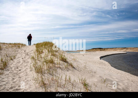 Wanderer auf Trail, Western Brook Beach - Gros Morne National Park, Neufundland, Kanada Stockfoto