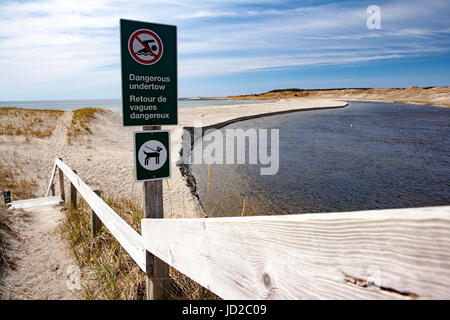 Trail zu Dünen auf Western Brook Beach - Gros Morne National Park, Neufundland, Kanada Stockfoto